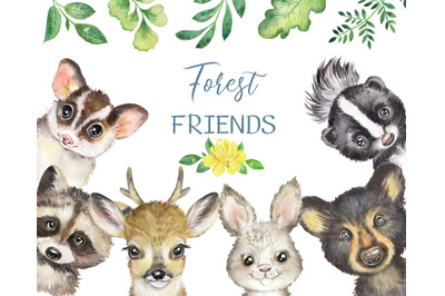 Woodland animals clipart. Forest animals friends.Funny animals, forest