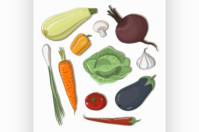 Mixed Vegetable - Vegetable Isolated Set