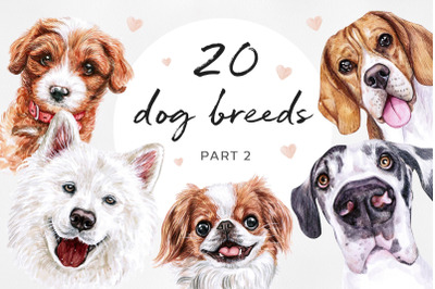 PART 2. Big watercolor illustrations set DOG breed. Cute 20 dogs.