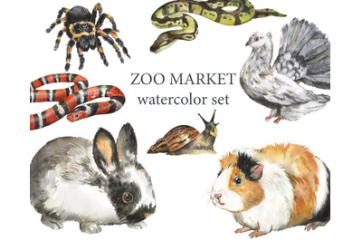 ZOO MARKET. Pets watercolor clipart. Rabbit lipart, snail, tarantula.