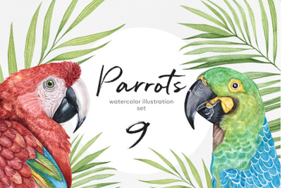 Parrots. Watercolor set illustrations parrot. 9 birds.