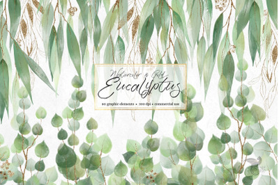 Watercolor and Gold Eucalyptus Clipart