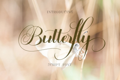 Butterfly Script