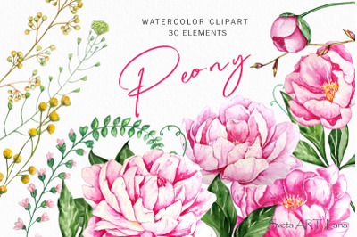 Peonies Watercolor Flowers Clipart