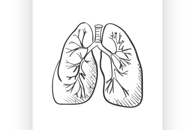 lungs doodle drawing, Medical background