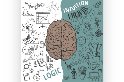 Left and right brain functions,Human concept