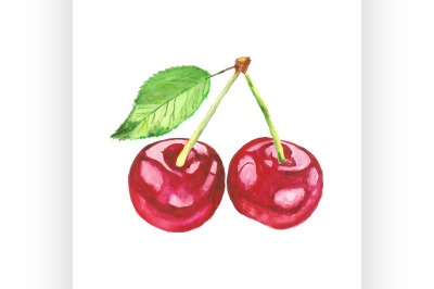 cherries. Vector watercolor painting on white background