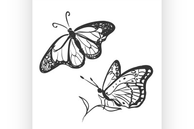 doodle butterfly