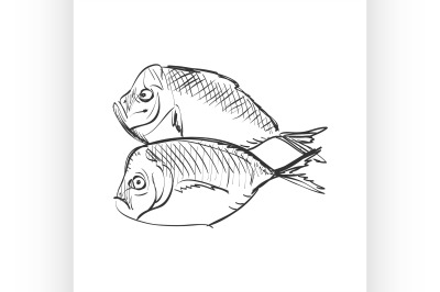 doodle fish