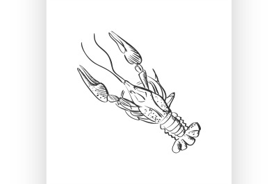doodle lobster