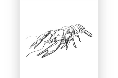 doodle lobster