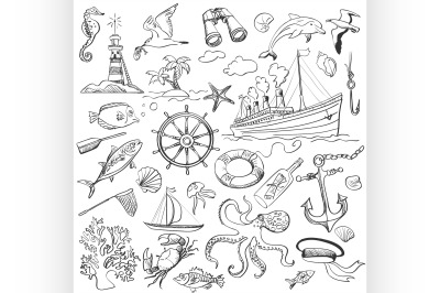 hand-drawn elements of marine theme