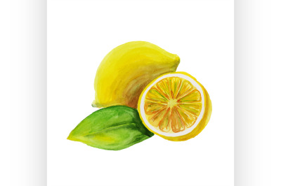 lemon. watercolor painting on white background