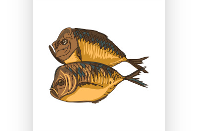 doodle fish