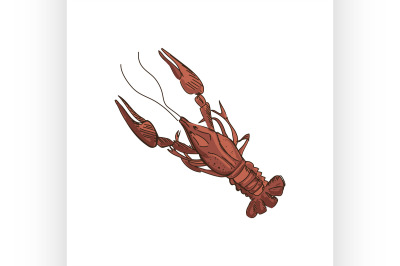 doodle lobster