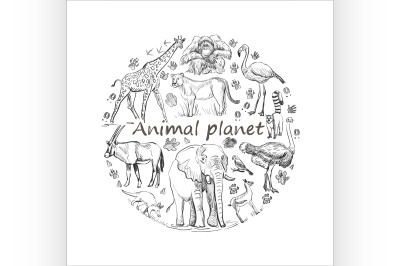 Hand drawn Save animal planet