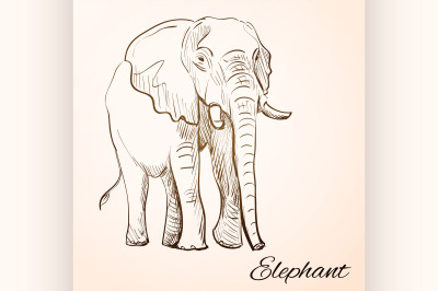 doodle elephant