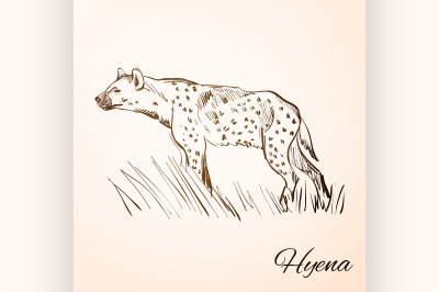 doodle hyena