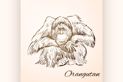 doodle orangutan