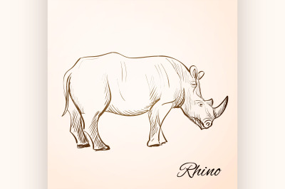 doodle rhino