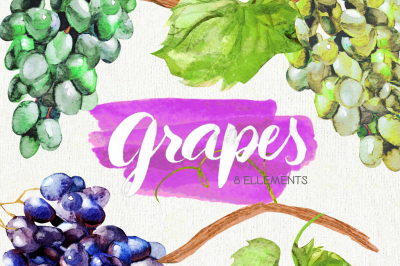 Watercolor Grapes &amp; leaves
