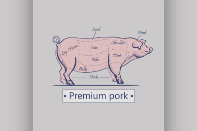 Vector cuts of pork