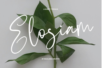 Elosiam Script Typeface