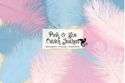 Pink and Blue Ostrich Feathers
