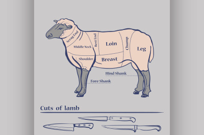 Vector Lamb Cuts Diagram