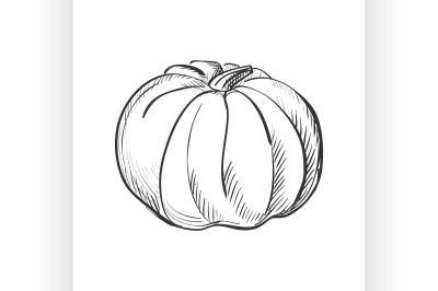 doodle pumpkin