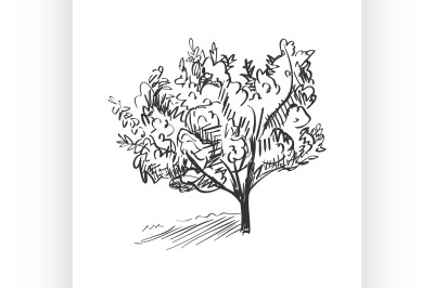 doodle tree