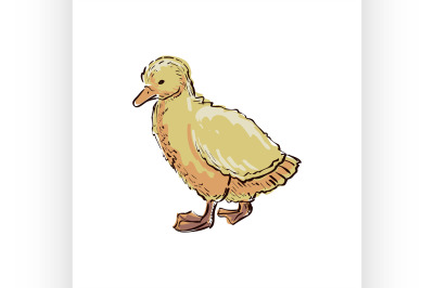 doodle duckling