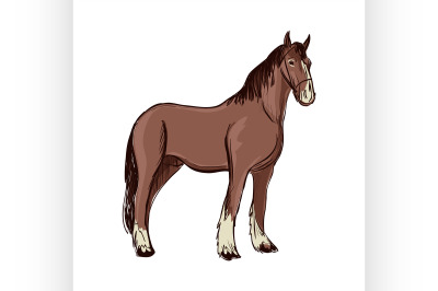 Doodle Horse