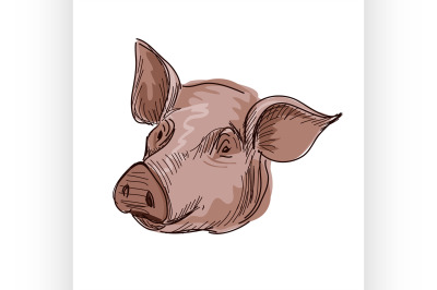 Doodle pig