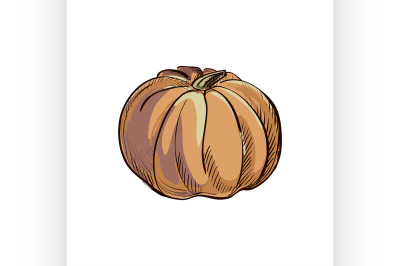 doodle pumpkin