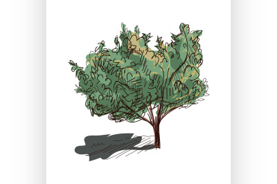 doodle tree