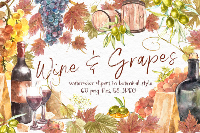 Wine and grapes set illustrations