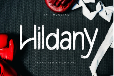 Hildany Sans Fun Font