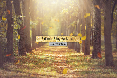 Autumn Alley Backdrop