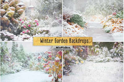 Winter Garden Backdrops