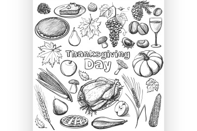 Hand drawn vector illustration - Thanksgiving day.