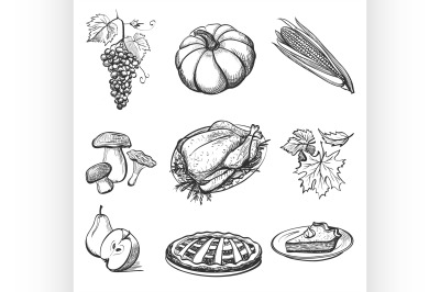 Set of hand drawn Thanksgiving attributes