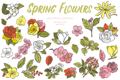 Spring Flowers Illustrations