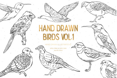 Hand Drawn Birds Illustrations Vol.1