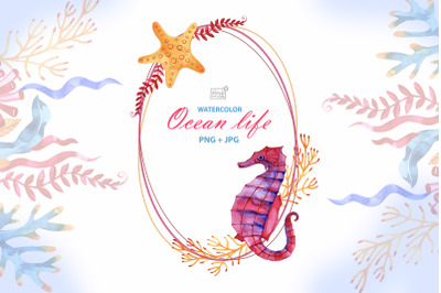 Watercolor ocean life