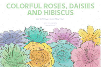 Colorful Roses, Daisies and Hibiscus Illustrations