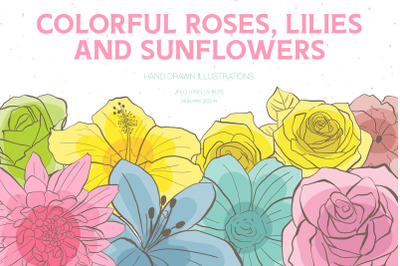 Colorful Roses, Lilies and Sunflowers Illustrations