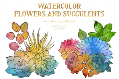 Watercolor Flowers and Succulents Illustrations