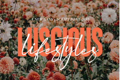 Luscious Lifestyles Font Duo (Font Duo, Signature Fonts)