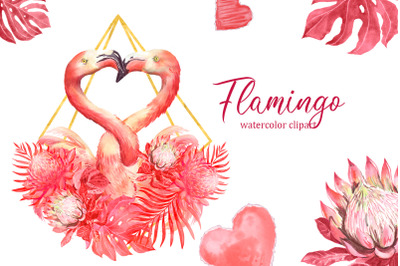 Flamingo watercolor clipart pink flamingos, love clipart , floral